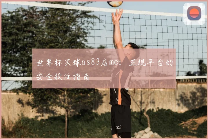 世界杯买球as83店me：正规平台的安全投注指南