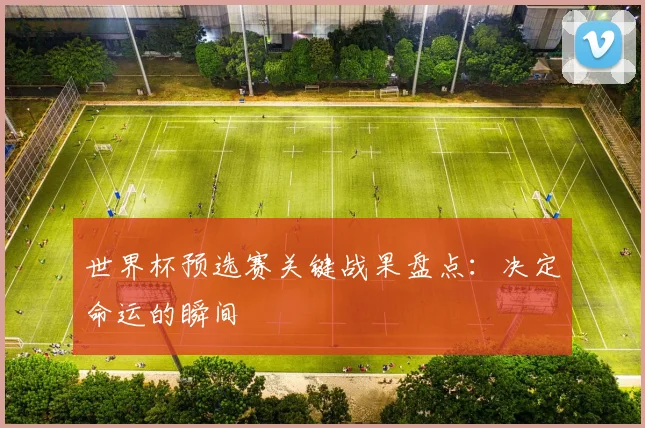 世界杯预选赛关键战果盘点:决定命运的瞬间