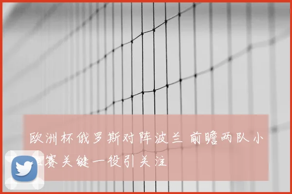 欧洲杯俄罗斯对阵波兰 前瞻两队小组赛关键一役引关注