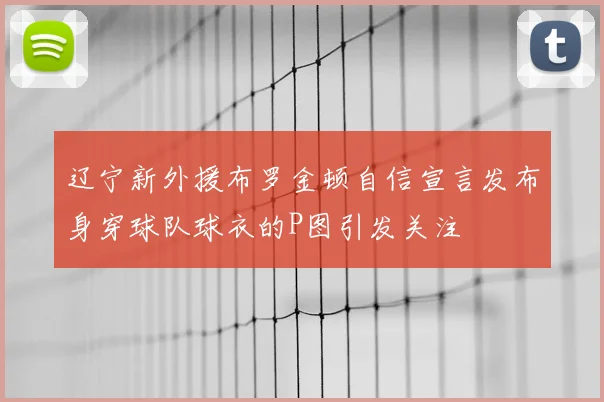 辽宁新外援布罗金顿自信宣言发布身穿球队球衣的P图引发关注