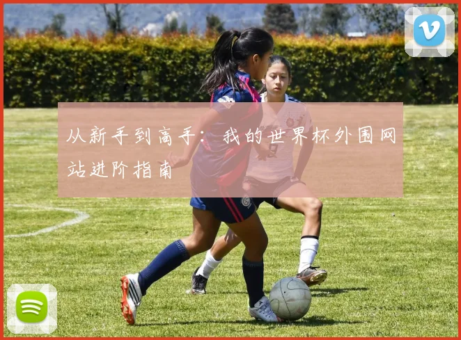 从新手到高手:我的世界杯外围网站进阶指南