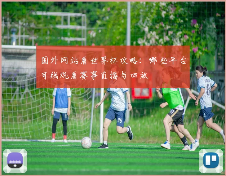 国外网站看世界杯攻略：哪些平台可线观看赛事直播与回放
