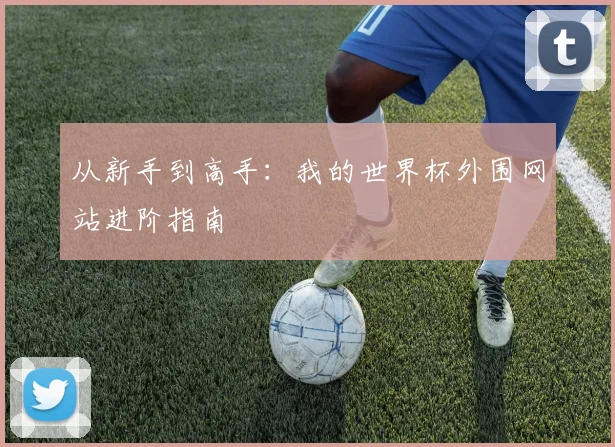 从新手到高手:我的世界杯外围网站进阶指南