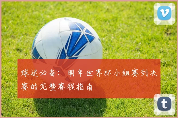 球迷必备:明年世界杯小组赛到决赛的完整赛程指南