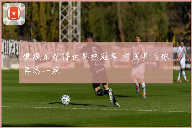 樊振东夺得世界杯冠军 中国乒乓球再添一冠