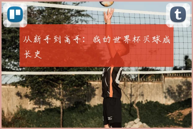 从新手到高手:我的世界杯买球成长史
