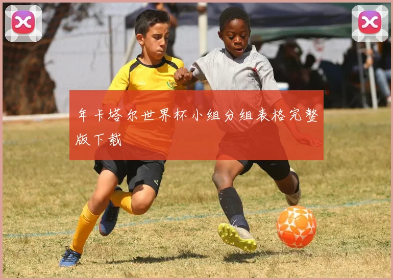 年卡塔尔世界杯小组分组表格完整版下载