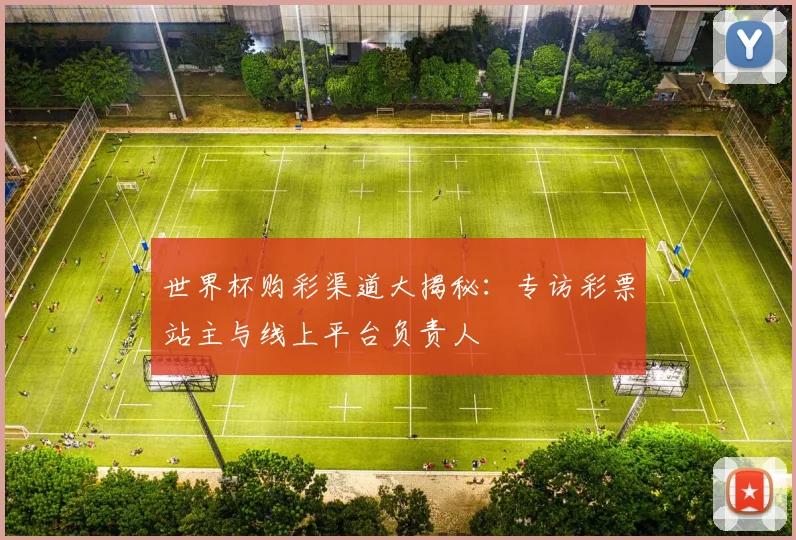 世界杯购彩渠道大揭秘：专访彩票站主与线上平台负责人