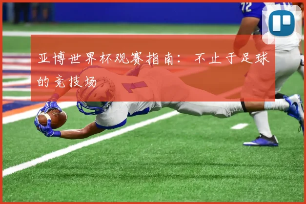 亚博世界杯观赛指南：不止于足球的竞技场