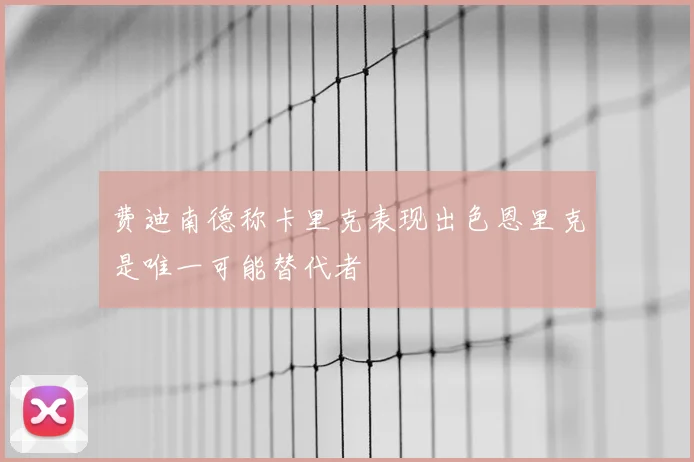 费迪南德称卡里克表现出色恩里克是唯一可能替代者
