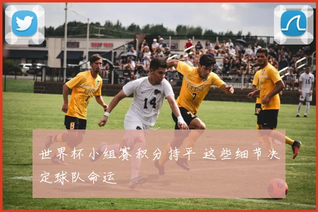 世界杯小组赛积分持平 这些细节决定球队命运