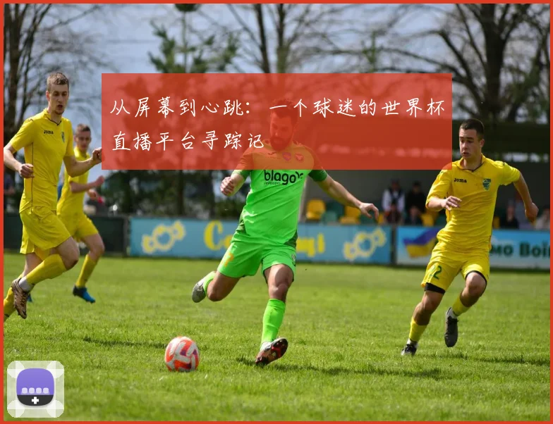 从屏幕到心跳：一个球迷的世界杯直播平台寻踪记