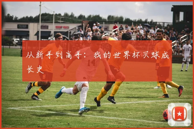 从新手到高手:我的世界杯买球成长史