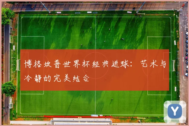 博格坎普世界杯经典进球：艺术与冷静的完美结合